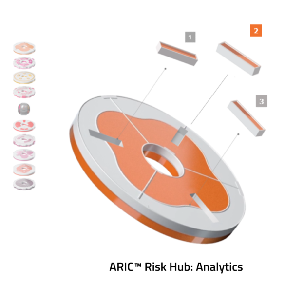 Risk Hub Analytics Disc with Caption