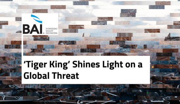 ‘Tiger King’ Shines Light on a Global Threat